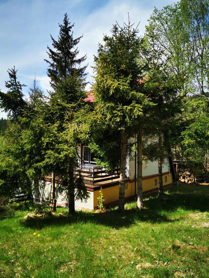 Wojtowka 16 Βίλα Lądek-Zdrój Εξωτερικό φωτογραφία